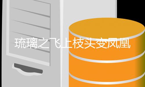 琉璃之飞上枝头变凤凰