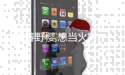 《惊！糙汉老公是年代文隐藏大佬》全文在线阅读