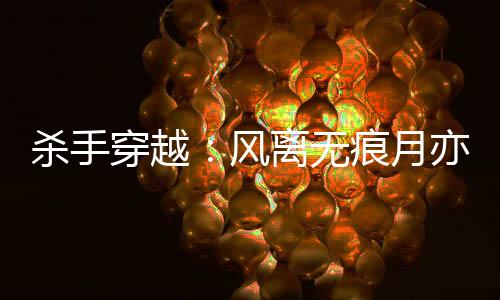 杀手穿越：风离无痕月亦歌