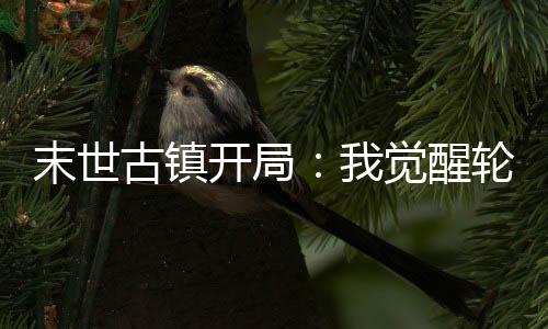 《夫人她马甲又轰动全城了》全文在线阅读