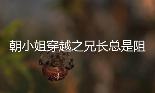 《夫人她马甲又轰动全城了》全文在线阅读