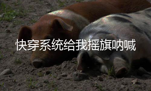 快穿系统给我摇旗呐喊