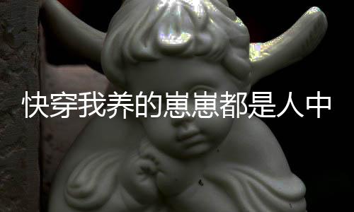 《黄泉快递：亲，记得五星好评哟》全文在线阅读