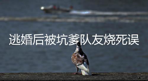 《致命偏宠》全文在线阅读