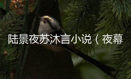 《入夜，娇软乖乖被京圈大佬吻哭了》全文在线阅读