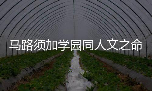 《穿书成恶毒女配，我创死霸总全家》全文在线阅读