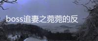 boss追妻之菀